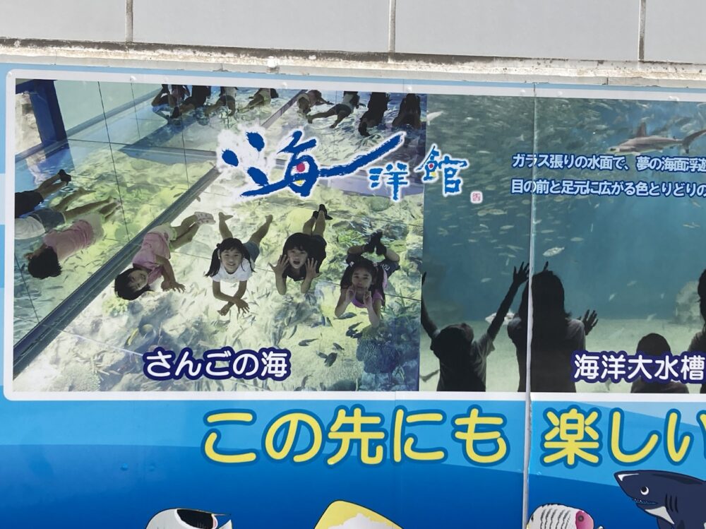 越前松島水族館　さんごの海