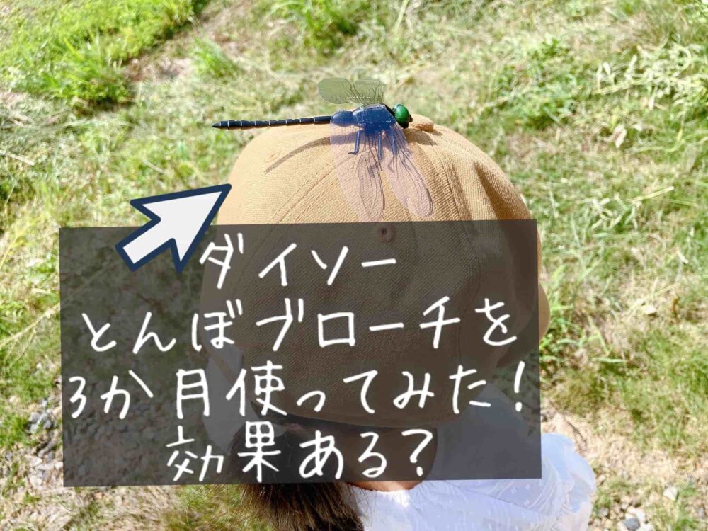 ダイソー　虫除け対策　おにやんまくん　とんぼブローチ　効果はある？ない？ブログ　体験談　口コミレビュー