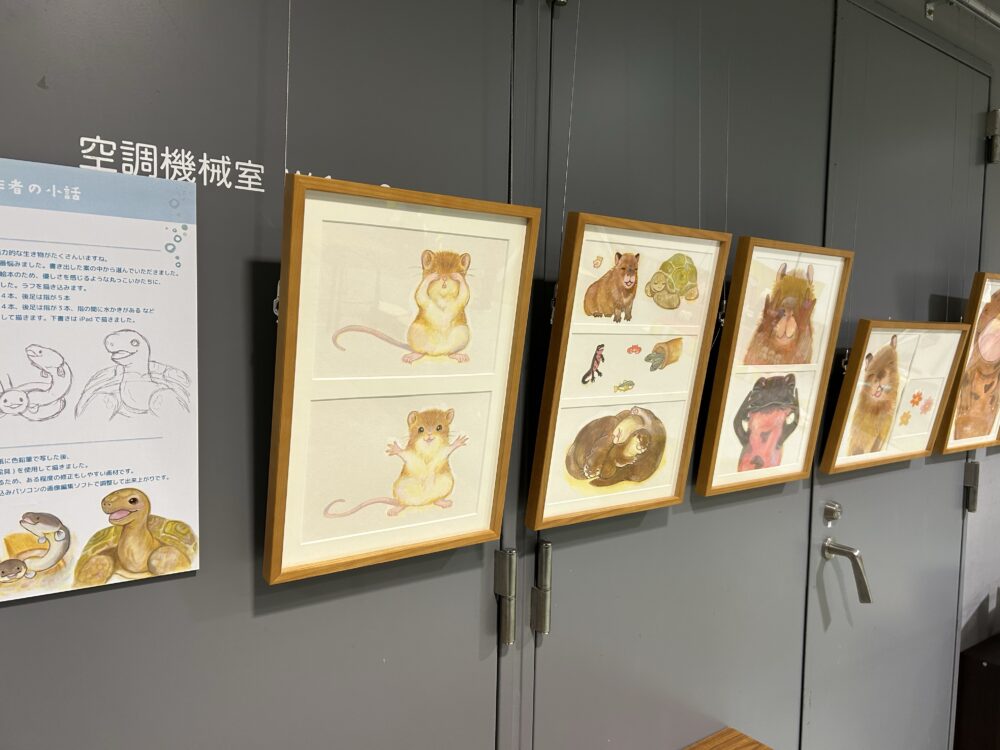 アクアトト岐阜　絵本　原画　展示