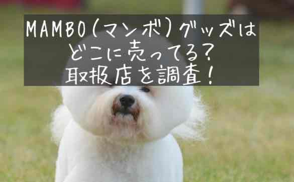 mambo 犬 店舗CLASKA　マンボ　MAMBO　犬　取扱店舗　販売店　どこで売ってる　買える場所　
