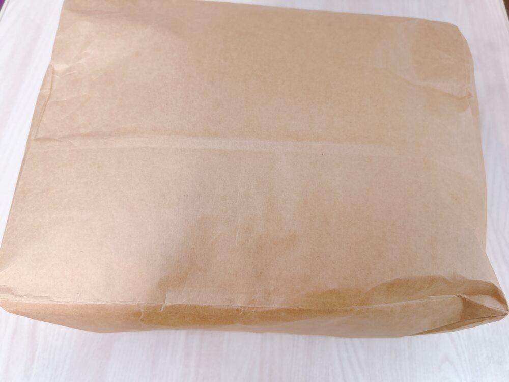 OSYAREBO 届いた写真 水着