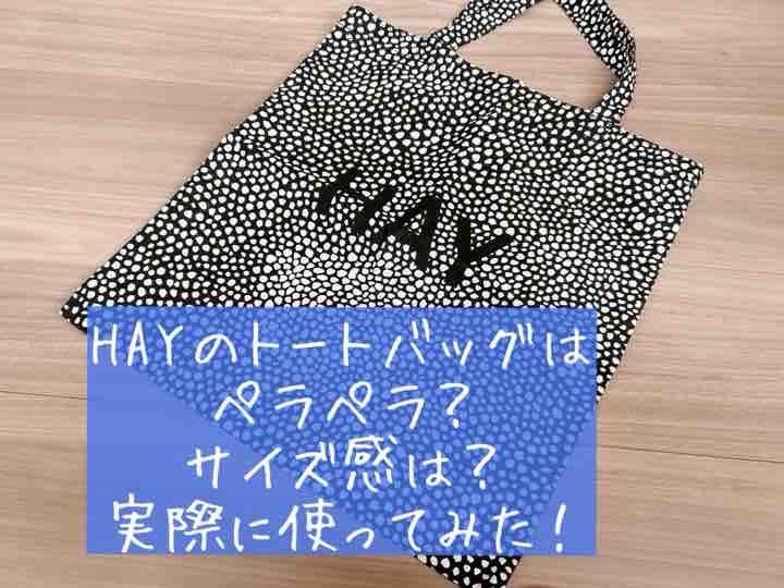 HAY　トートバッグ　ペラペラ　薄い　サイズ感　大きい　口コミ　評判　レビュー　ブログ　体験談　実際に使ってみた　写真