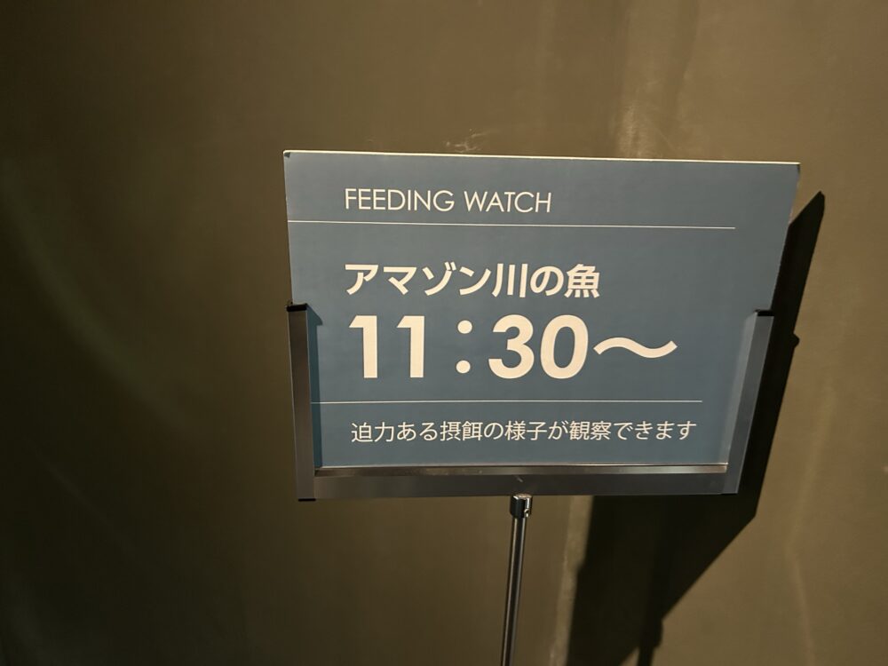 アクアトト岐阜 イベント スケジュール