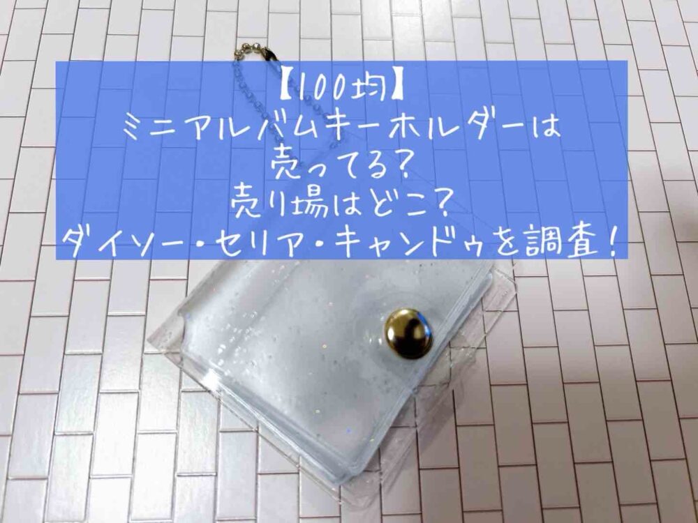 100均 ミニアルバムキーホルダーは売ってる?売り場はどこ?ダイソー・セリア・キャンドゥを ミニシール帳にも使える 売ってない