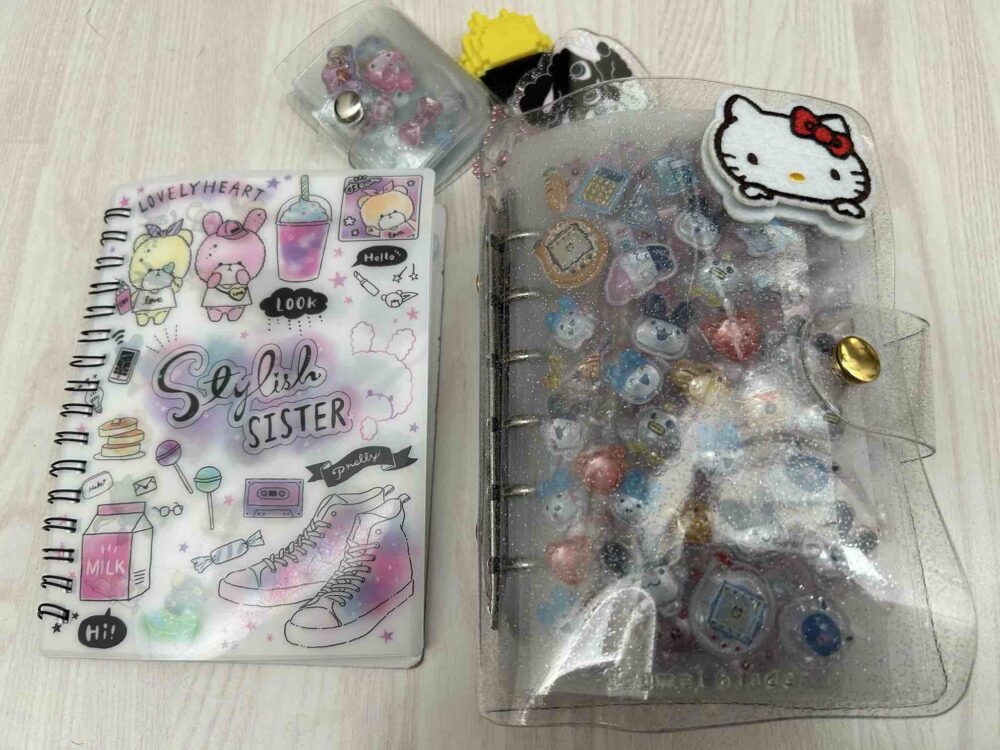 シール交換　小学生　女子　トラブル　ブログ