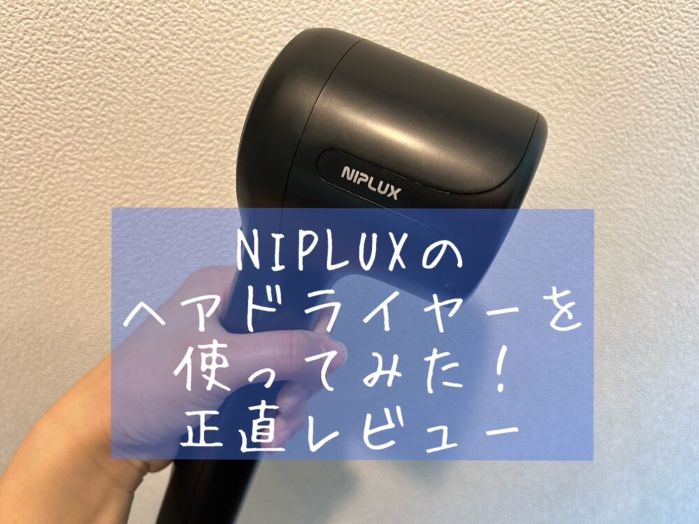 NIPLUX（ニップラックス）のHairDryer（ヘアドライヤー）口コミレビュー　ブログ 実際に使ってみた