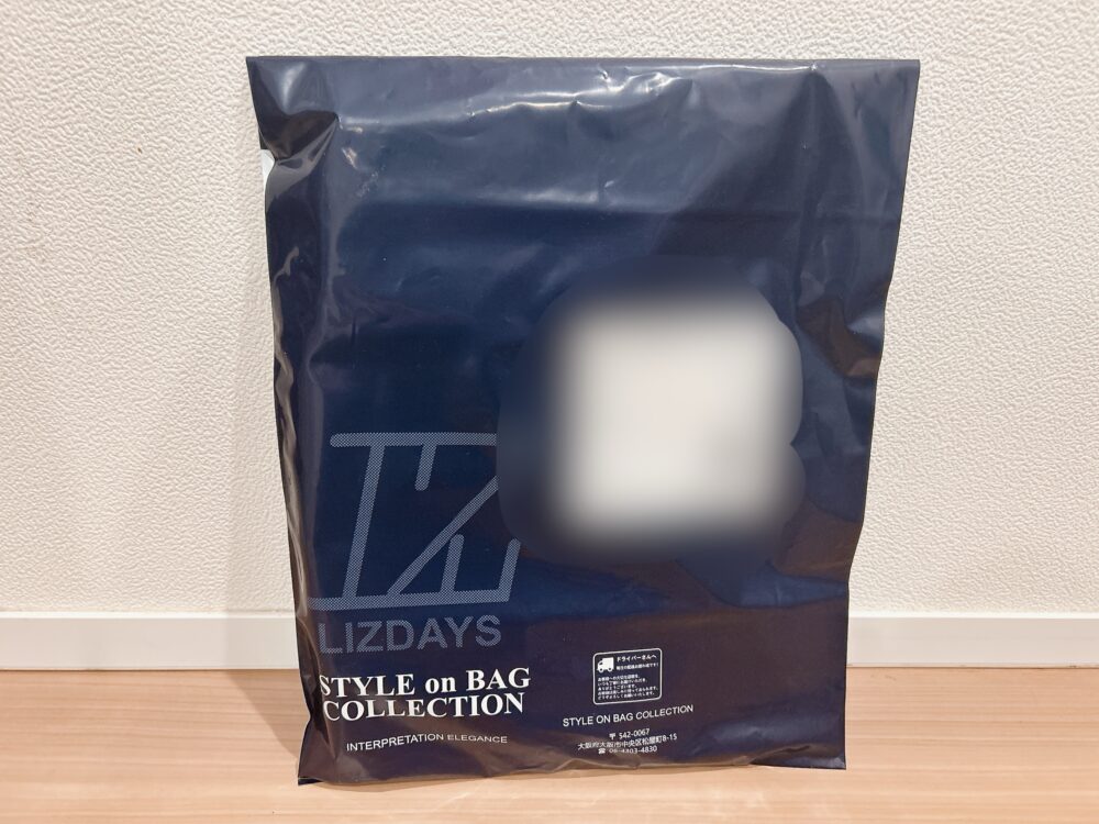 バッグインバッグ　スタイルオンバッグ　LIZDAYS　口コミ　レビュー　ブログ　感想　　リズディズ