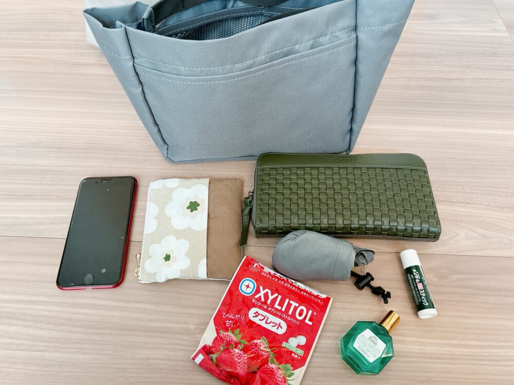 バッグインバッグ　スタイルオンバッグ　LIZDAYS　口コミ　レビュー　ブログ　感想　　リズディズ