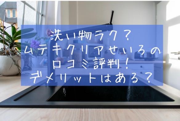 洗い物ラク？ムテキクリアせいろの口コミ評判！デメリットやガラス蒸し器との違いを比較　最安値　どこに売ってる　注意点