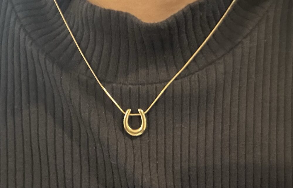 サージカルステンレス製ネックレス(ホースシューシルエット)CRAIFE(クライフ) レビュー 口コミ 評判