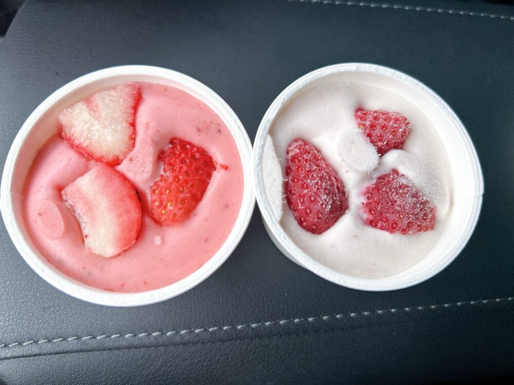 ウイングいちご（中電ウイングファーム）ジェラード　アイスクリーム