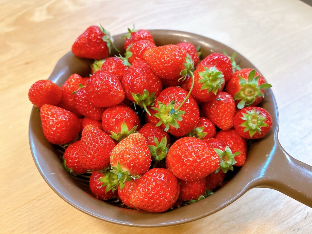 ウイングいちご（中電ウイングファーム）