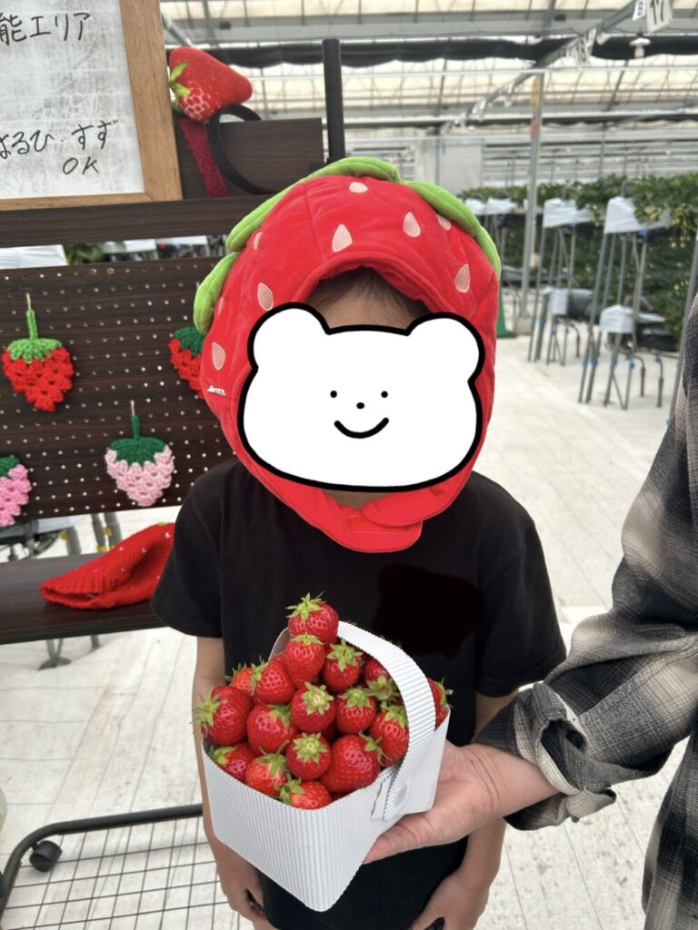ウイングいちご（中電ウイングファーム）写真映え　コスプレ