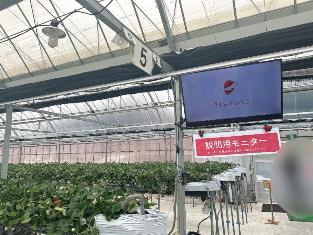 ウイングいちご（中電ウイングファーム）