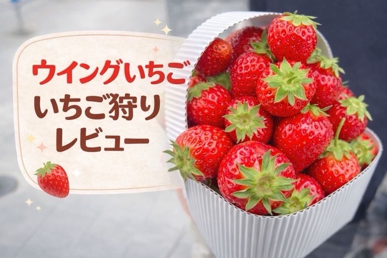 ウイングいちご（中電ウイングファーム）レビュー　体験談　写真　ブログ　口コミ　いつからいつまで　レポート　予約　駐車場