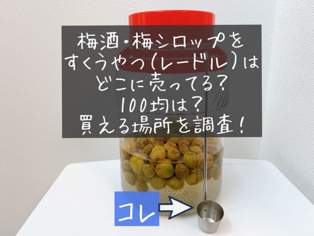 梅酒·梅シロップをすくうやつ　100均　どこに売ってる　ダイソー　セリア　キャンドゥ　売り場　買える場所　カンロ杓子　取扱店